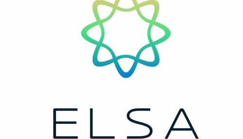 خرید اکانت elsa speak